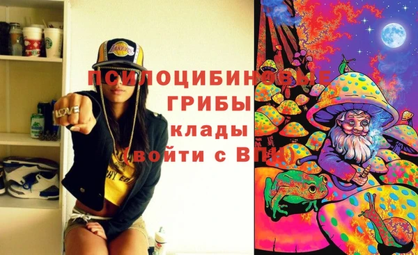 кокс Бородино