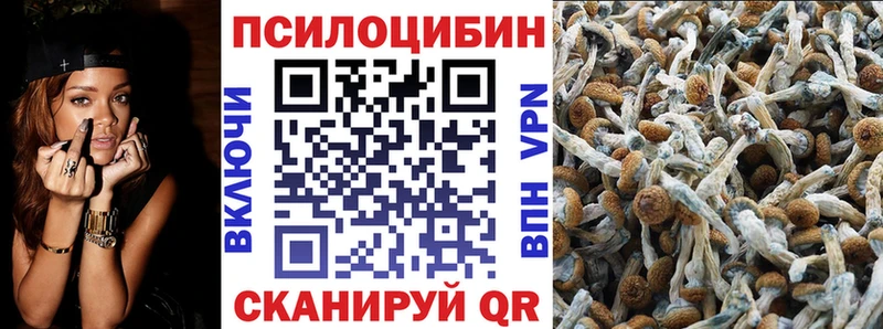 Псилоцибиновые грибы мицелий Купить закладки Льгов